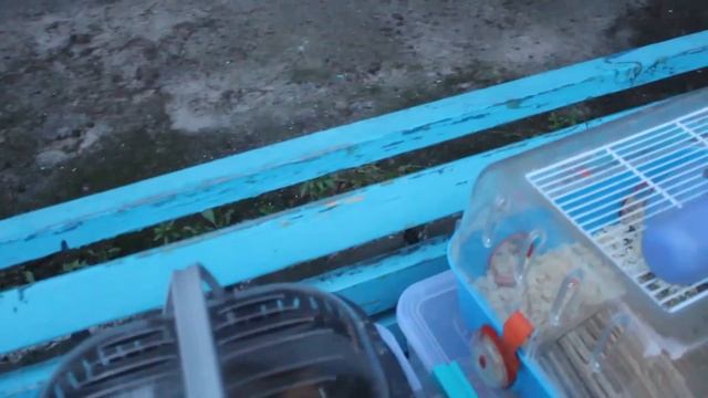 Мы переезжаем