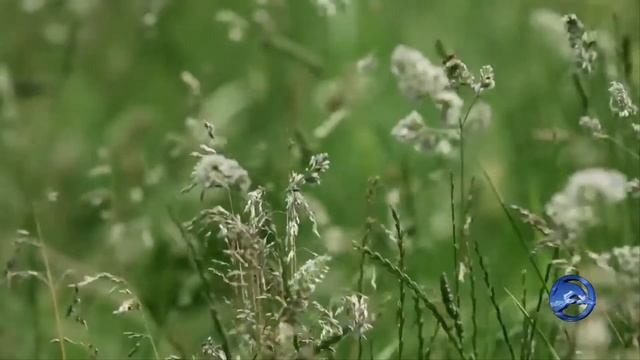 Karunesh - Aeon - Sun Within (2016) смотреть онлайн