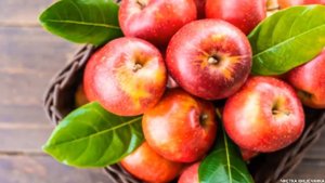 ИЗБАВЬТЕСЬ ОТ ШЛАКОВ 5 продуктов для быстрой ЧИСТКИ КИШЕЧНИКА и ВОССТАНОВЛЕНИЯ МИКРОФЛОРЫ.