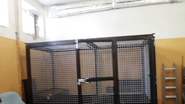 Сонное утро с Шимпанзе | Что едят обезьяны | Боня и Мальта играют с фитболом смотреть онлайн