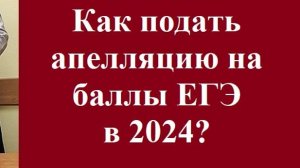 Как подать апелляцию на баллы ЕГЭ в 2024? #ЕГЭапелляция #ВУЗпоступление #результатыЕГЭиОГЭ #юрпомощь