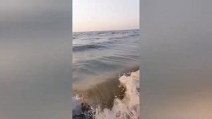 Ачуево, Азовское море