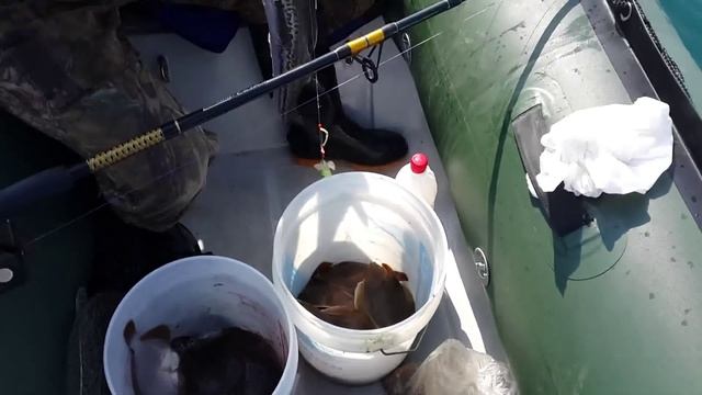 летняя рыбалка в уссурийском заливе, камбала, краб, ментай