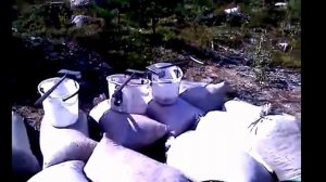 Комбайн для сбора ягод: брусники, черники, клюквы.