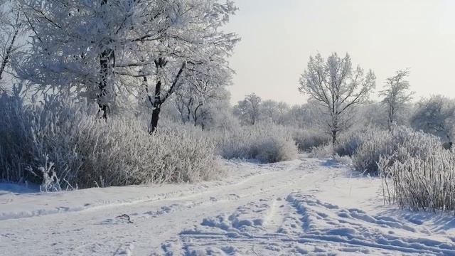 Зимняя природа