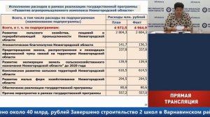 Публичные слушания по проекту закона Нижегородской обл. об исполнении областного бюджета за 2020 год