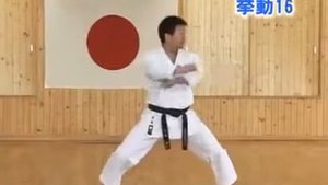 КАТА ТЕККИ ШОДАН. ОБУЧАЮЩИЕ ВИДЕО