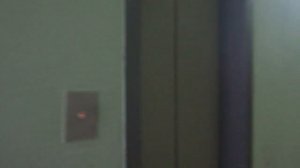 Электрический лифт V=1 м-с, грузоподъемность 320 кг (1821)