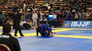 IBJJF/Madrid International Open 2018