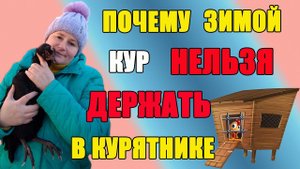 Почему зимой кур НЕЛЬЗЯ держать в курятнике.