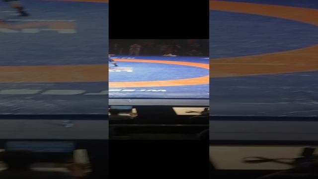 сила борьбы 🤼