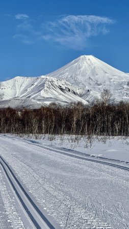 Лыжня Здоровья, г.Петропавловск-Камчатский.