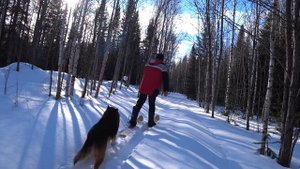 затерянный в лесах, таежный тупик.