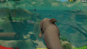 || FEED AND GROW FISH || "Болотное чудовище"