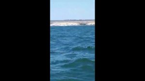 Самолет забирает воду на Цимлянском водохранилище