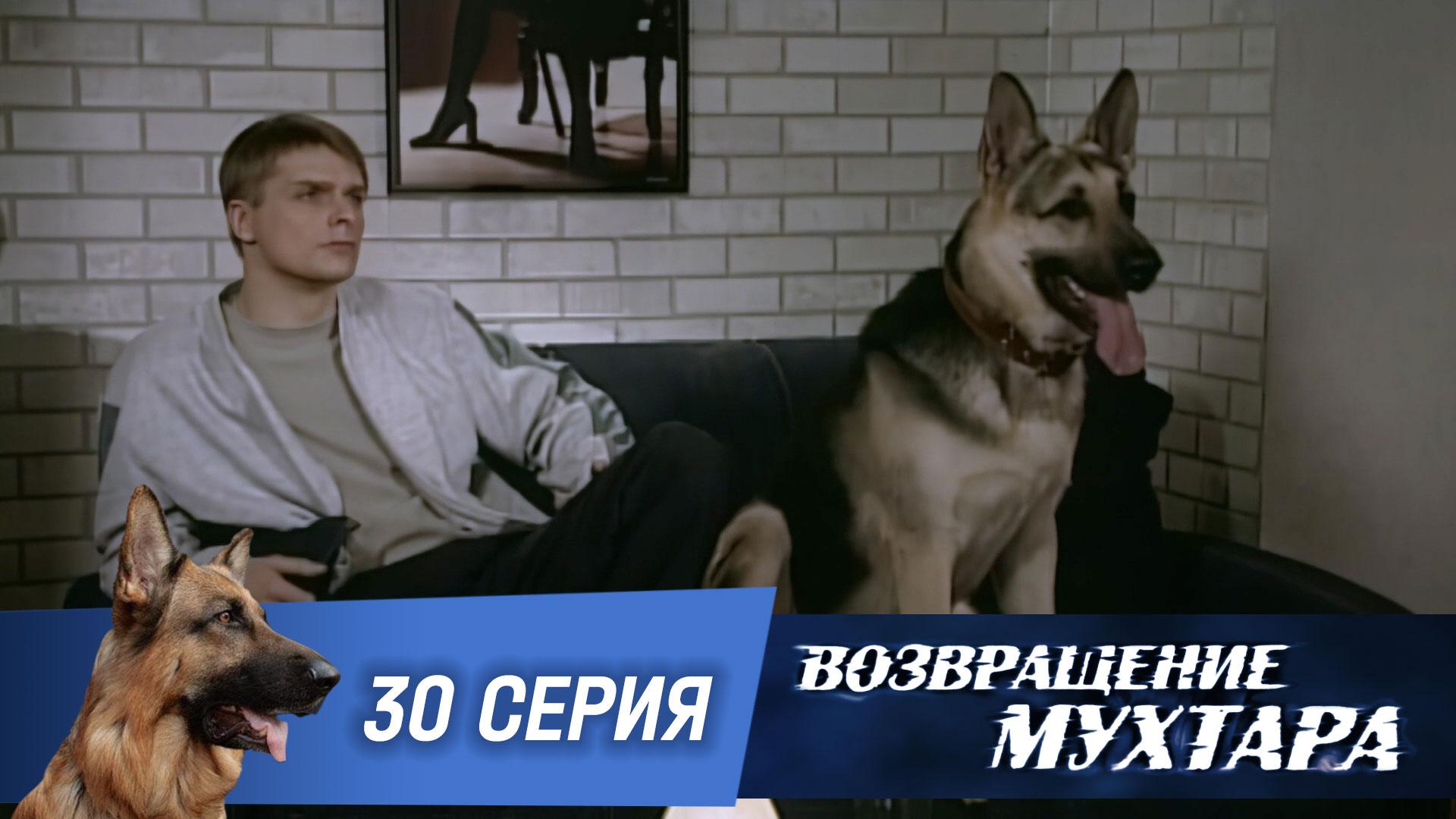 Возвращение Мухтара: Внезапная смерть (1 сезон. 30 серия)