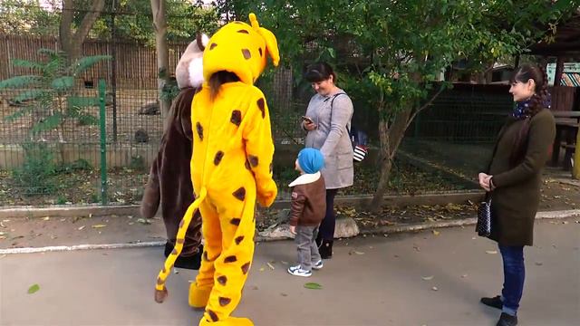 Енот и жираф гуляют в Одесском зоопарке смотреть онлайн