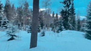 Золотая Долина горнолыжный курорт СПб. Фрирайд в Коробицыно.