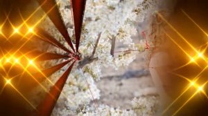 Песни старых дворов Одинокая ветка сирени.mp4