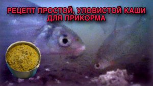 РЕЦЕПТ ПРОСТОЙ УЛОВИСТОЙ КАШИ. ЛЕЩ, ЯЗЬ, СОРОГА, КАРАСЬ. Пользуюсь зимой и летом!