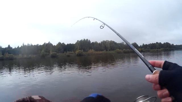 Твичинг P21 Crackjack. Щука, Судак, Окунь на канале им Москвы. смотреть онлайн