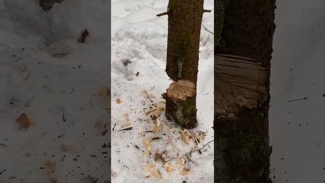 Охотничий Топор Hultafors Ekelund смотреть онлайн