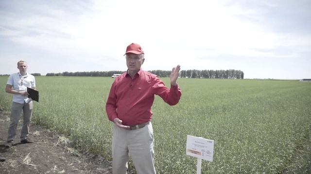 Результаты опытов с протравителем семян на зерновых. смотреть онлайн