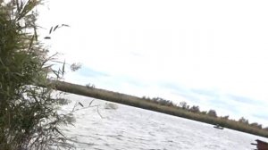 Рыбалка на фидер в октябре. Попал на раздачу крупной плотвы и леща. Рыбалка 2022