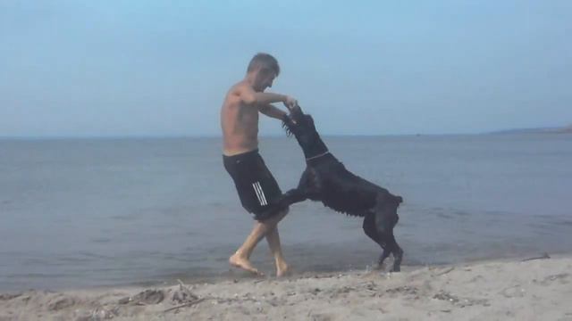 Roman-Kosh Kameliya Lovely Flower. МОРЕ И КАМА смотреть онлайн