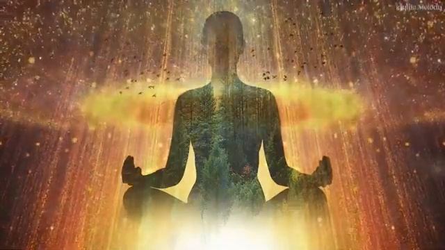 Медитация изобилия, Богатство, денежная удача и процветание Чудо происходит, пока вы спите Музыка смотреть онлайн