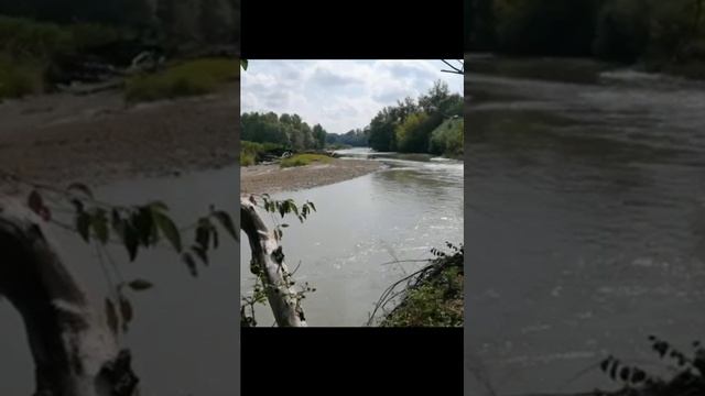 Пение весенних птиц