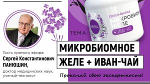 VEIRA-СРЕДА. ТЕРРИТОРИЯ ЗДОРОВЬЯ: «Микробиомное желе+ ИВАН-ЧАЙ»