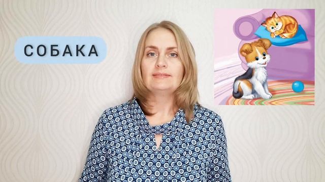 РИФМОВАННЫЕ ЗАГАДКИ для развития речи в 2-3 года смотреть онлайн