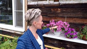 ПЕТУНИЯ ПЕТХОА-СУПЕР ПЕТУНИЯ.2021