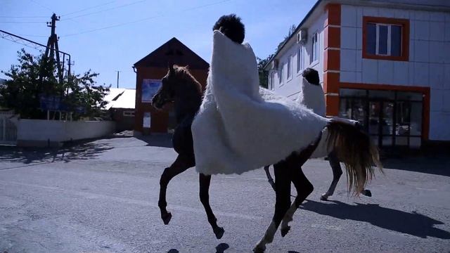 Свадьба чеченская. Красивая дорога. Кони. смотреть онлайн