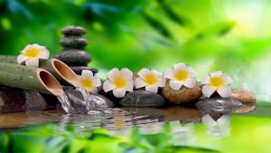 Relaxing Music with Nature Sounds Bamboo Water Fountain [Healing Music BGM]