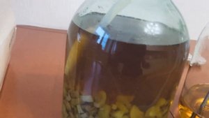 Фильтрация настоек перистальтическим насосом