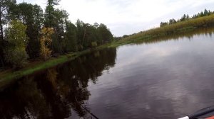 Сентябрьские рыбалки на реке Ампута.
