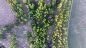 Как, когда и где вешать скворечник, синичник и т.п.