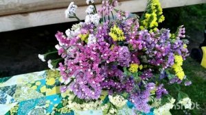 Забой уток, статица,утиный жир и просто жизнь...