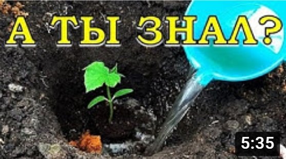 2 способа посадки ОГУРЦОВ. ПАРНИК из полипропиленовых труб ПОСЛЕ ЗИМЫ