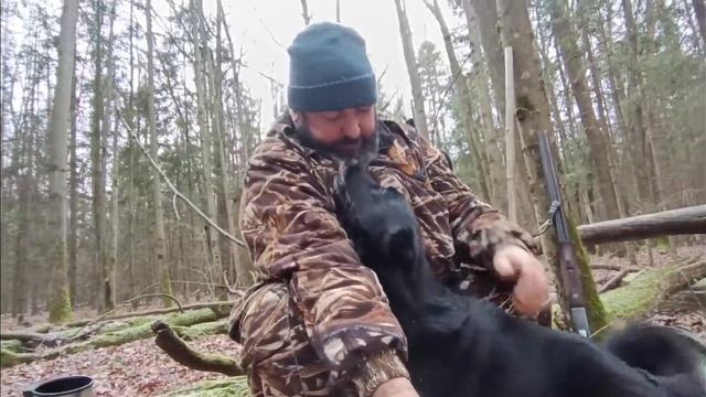 ДЛЯ ЗАЩИТНИКОВ ПРИРОДЫ/ ЧТО ТАКОЕ ОХОТА/ ВСЕ СОБАКИ НАШЛИСЬ/ смотреть онлайн