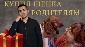 КУПИЛ ЩЕНКА РОДИТЕЛЯМ