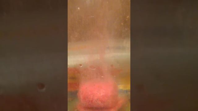 Работа окрашенного зимнего технопланктона смотреть онлайн