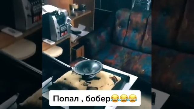 Миша м, 