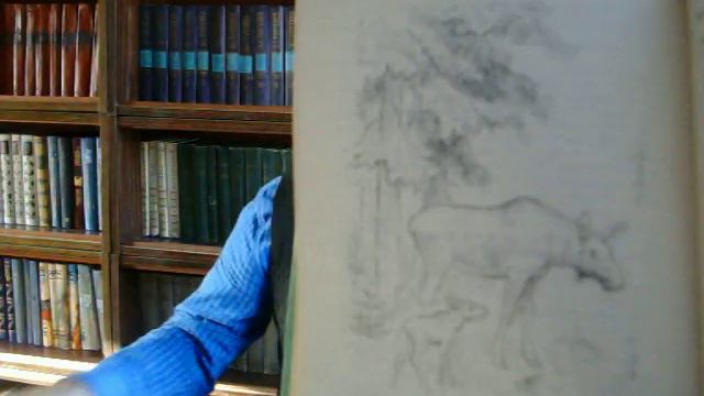 Детские книги о природе для среднего и старшего возраста смотреть онлайн