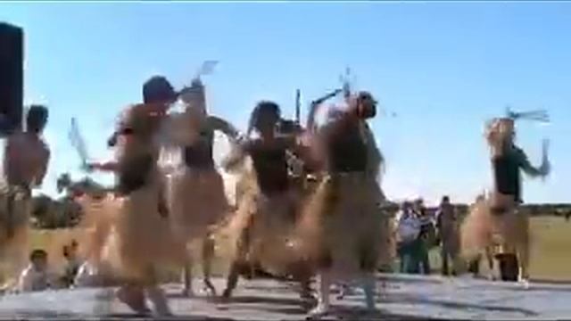 Efest - Capoeira presentation 2 смотреть онлайн