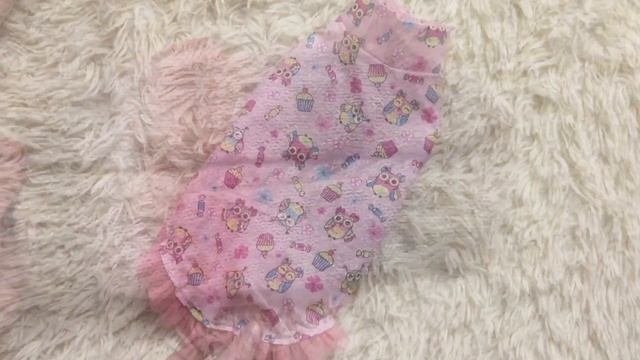 Обзор одежды моей собаки