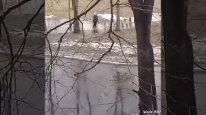 2 пацана купаются зимой в луже!