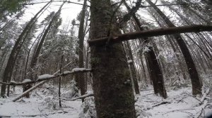 Петля на рябчика Loop on grouse